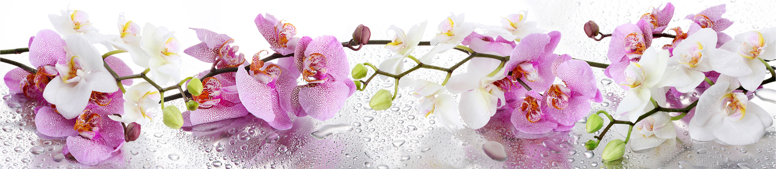 Панель SP 090 2800x610x6\В