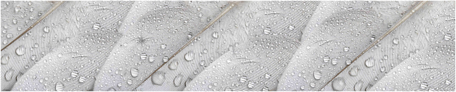 Панель КМ "Перья - мерцание серебро" 3000*610*3мм NEW