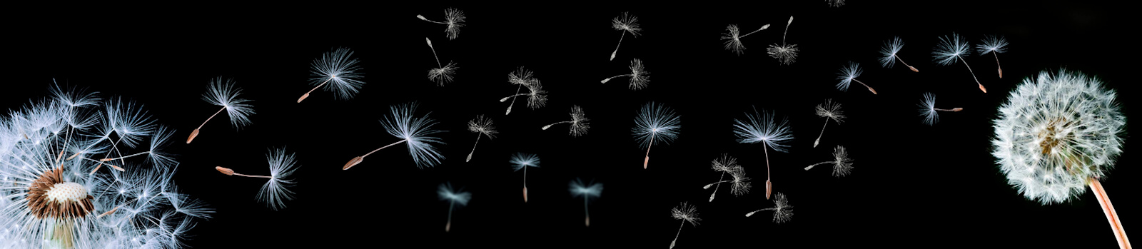 КМ MR-1 Панель КМ "Одуванчики - серебро" 3000*610*3 мм